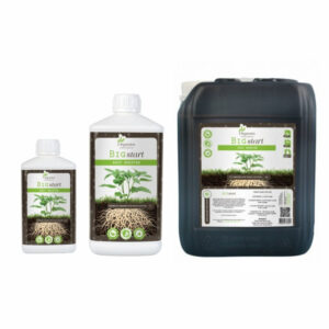 Organics Nutrients Big Start 1 l -