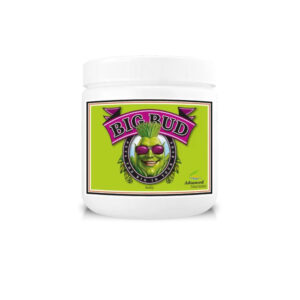 Advanced Nutrients Big Bud Powder 10 kg -