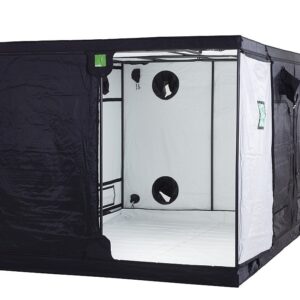 Budbox Silver PRO Titan II 240x360x200 cm