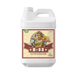 Advanced Nutrients B-52 1 l -