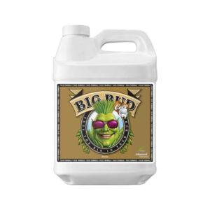 Advanced Nutrients Big Bud Coco Liquid 1 l -