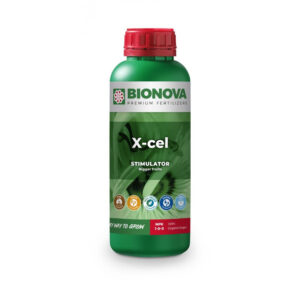 BioNova X-cel Booster 1 l -