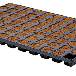 HGA Garden Eazy Plug CT77 Tray, 53x31x5 cm