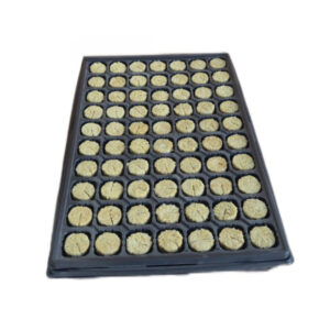 Anzuchttray für die Anzucht mit Steinwolle von Begrow® 36 x 40 mm.