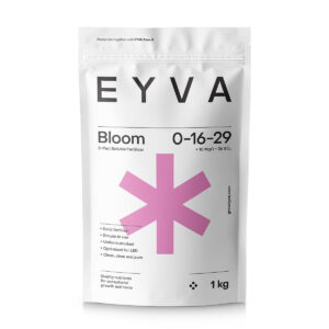 EYVA Solid Bloom