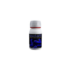 Agrobacterias Bactofil, positive Bakterien