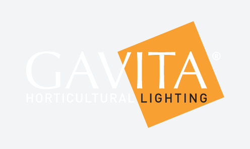 Gavita
